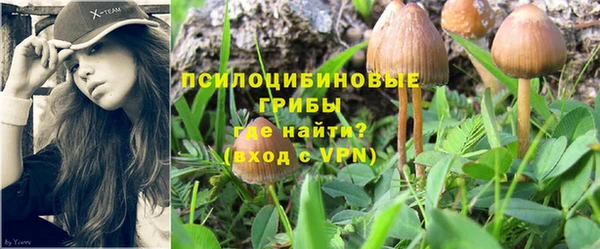 молекула духа Зеленодольск