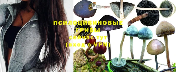 COCAINE Заводоуковск
