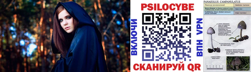 закладка  Карталы  Псилоцибиновые грибы Cubensis 